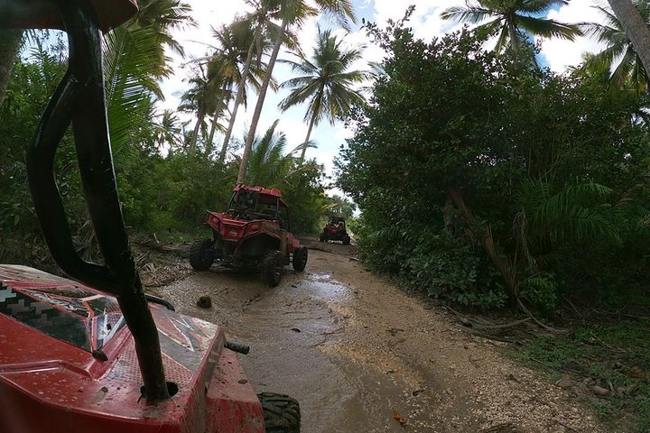 Buggy Tour from Sosua - Photo 1 of 7
